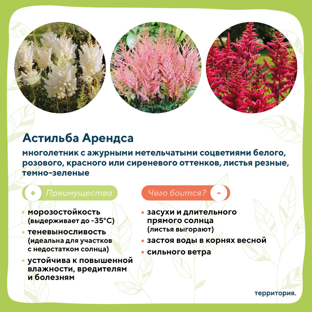 атлас растений 2 (1).png