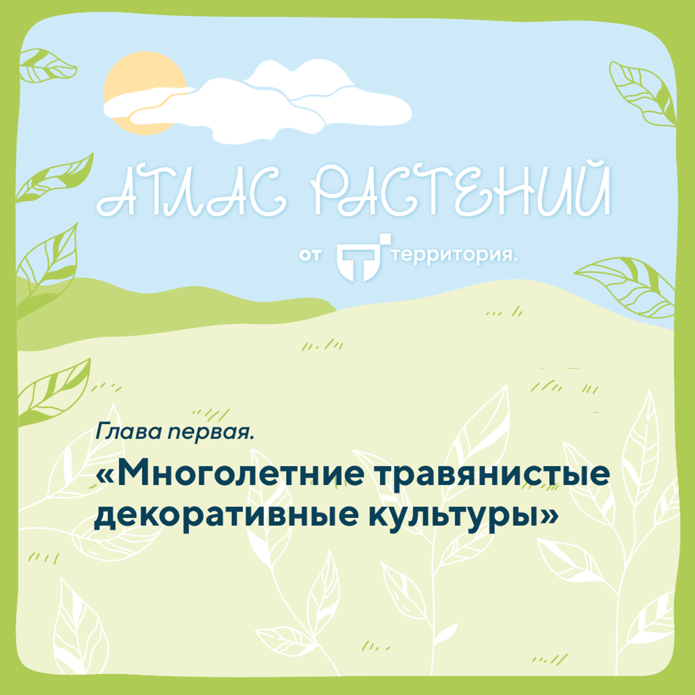 атлас растений 1 (1).png